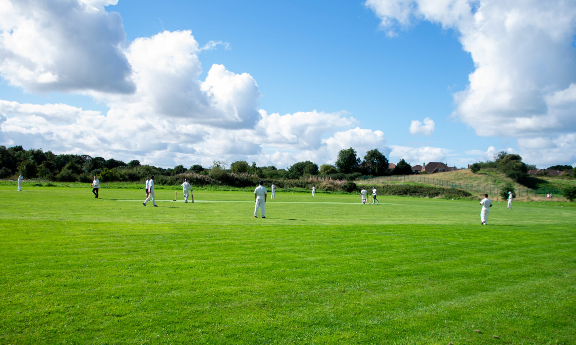 Overhead view capturing the vibrant greenery of Dundalk Cricket Club's grounds